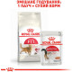 Корм Fit Royal Canin 10 кг для домашніх та вуличних котів