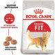 Корм Fit Royal Canin 10 кг для домашніх та вуличних котів