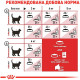 Корм Fit Royal Canin 10 кг для домашніх та вуличних котів