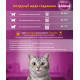 Корм Whiskas 14 кг для дорослих котів з яловичиною