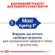 Корм Maxi Ageing 8+ Royal Canin 15 кг для старіючих собак